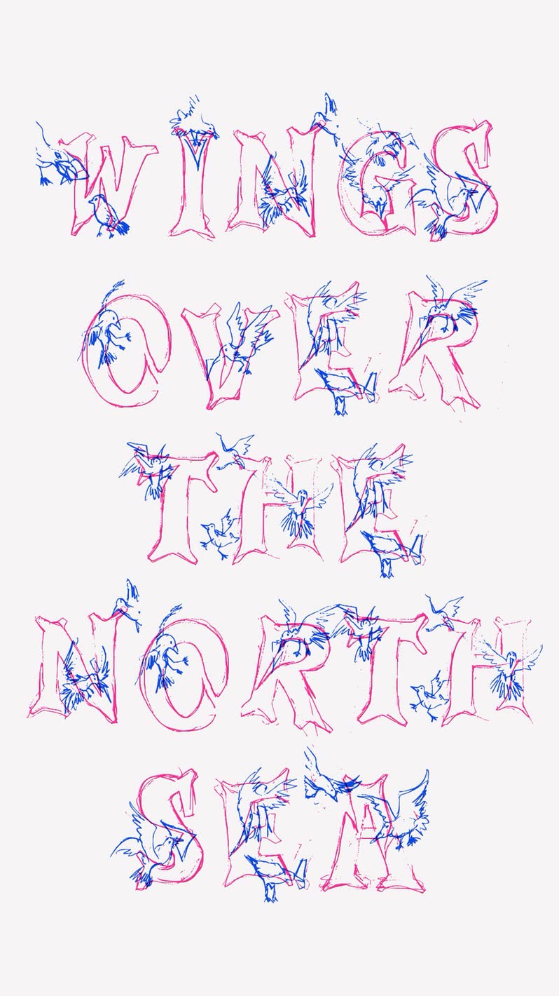Wings over the North Sea, set in the Seagulls typeface